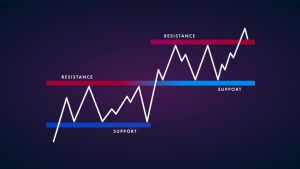 RAN TRADE Academy – We Will Teach The Right Way To Invest